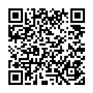 坐在沙发上如木偶的三井胜田等人突然活动了起来二维码生成