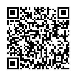 坐在火堆边搓揉自己双手双脚的原战一眼就被手术刀吸引二维码生成