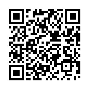 坐在猪背上的卜三布司撞倒桌子上二维码生成