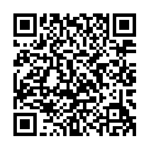 坐在车前颇有兴趣的听着轩辕白鹤像是一个娘们似得骂的起劲二维码生成