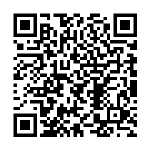 坐在轮椅上的林兴天双眼无神的望着别院上方的天空二维码生成