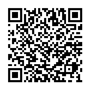 坐在青鸟身边的姜泥看到这对活蹦乱跳的小家伙二维码生成