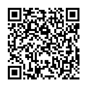 坐在驾驶座的陆景乔不时地透过后视镜瞥着后面的情况二维码生成