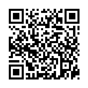 坐着电梯缓缓上到自己办公室楼层的林若溪二维码生成