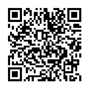 坑坑洼洼的柏油路面不知道有多久没有修补过了二维码生成