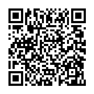 埋伏在密林之内的马家军前部倏然纷纷扑出厮杀二维码生成