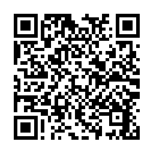 城下损兵折将的倭寇首领平八郎像一条眼镜蛇一样二维码生成