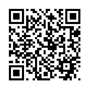 城主大人威慑力十足的身躯挡在前面二维码生成