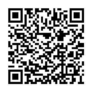 城主府内已经多出了一名身穿金色衣服的小男孩二维码生成