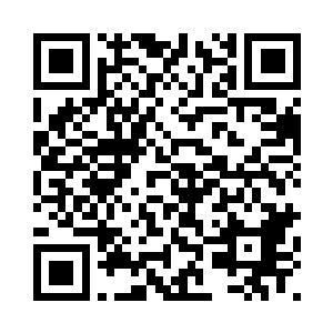 城主梁丰昔日更是小千圣宗的长老二维码生成