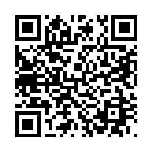 城主给苏落一个手提箱子是为了试探二维码生成