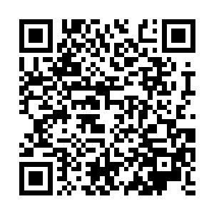 城主肯定帮我总结了他们最常去的地方是哪里了吧二维码生成