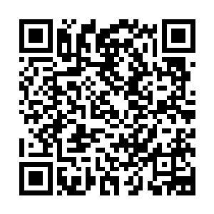城南中心小学的那些家长们可一个个都是有头有脸有来历的啊二维码生成
