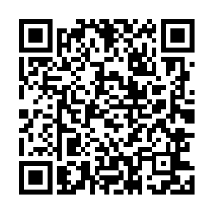 城墙上的密密麻麻的旗帜说明这是一座由重兵把守的要塞二维码生成