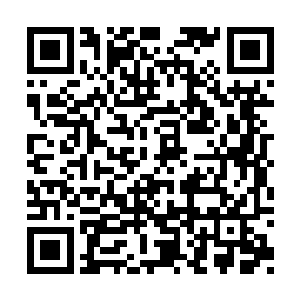 城邦军的人海战术要到突破寨墙后才会显现威能二维码生成