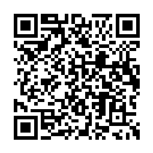 城门左右站着两名身穿铠甲腰挂长剑的剑者护卫二维码生成