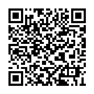 域外天魔的神识锁定了被包裹在岩石中的许紫烟二维码生成