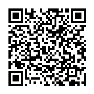培养的这些人将来的时候都会成为种子一样的存在二维码生成