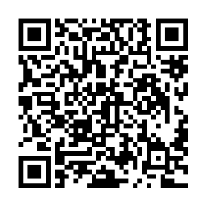 基于什么样的数据和初始条件才创造出如此疯狂的世界观二维码生成