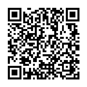 基本上所有的星球管理者都对全星球进行过动员讲话二维码生成