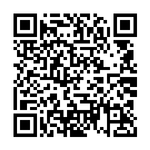 基本上是没有多少机会能直接和地委书记对话的二维码生成