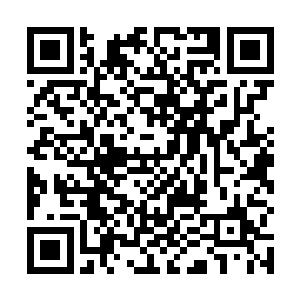 基本上是金乌商团在金光城的这个生产基地里生产多少二维码生成