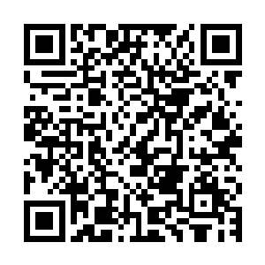 基本就意味着已经到了人类快要毁灭的局面了……我心情能好么二维码生成