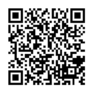 基本每个教室后方都有一帮的女生蹲在那里瑟瑟发抖二维码生成