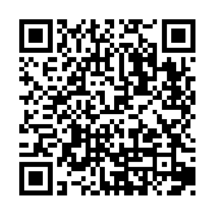 堂堂一个皇子竟然会因为被婢女蒙蔽而如此沉迷二维码生成