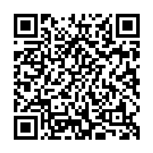 堂堂一个符神界呼风唤雨的符神主竟是被一个下人如此欺辱殴打二维码生成