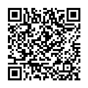 堂堂主宰强者用五成力量对付一个不是主宰的人二维码生成