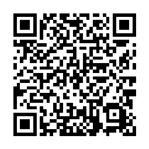 堂堂的九头龙王给我打了一巴掌就变成了植物人二维码生成