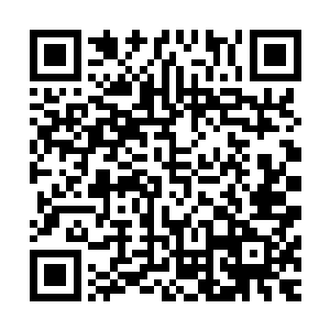 堂堂金莲八品修士竟然穷到连恢复一条胳膊的资源都拿不出来二维码生成