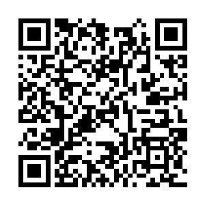 堂堂魔宗大教主向自己最忠诚的三大护法之一下手二维码生成