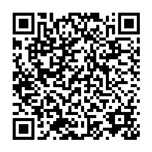 堂附近的三个武者组织和一个二六武者组织和赵虎详细的介绍了一遍二维码生成