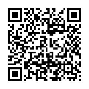 堡主大人应该知道这已经超出我的能力之外了……二维码生成