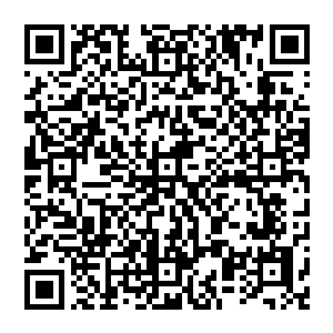 堡主大人现在身体的抗打击能力和防御能力已经超过了铁胎果所能增加你身体防御和抗打击能力的上限二维码生成