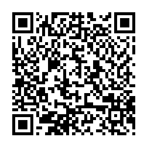 堡主大人身体内的部分与身体恢复愈合能力相关的dna与基因将被彻底激活二维码生成