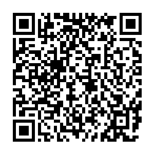 堵车堵得身心疲惫…见证了可怕的春运…昨晚回到家一觉便睡到了中午二维码生成