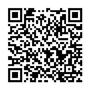 塔已经知道自己狩猎队的成果比不上另一个狩猎队二维码生成