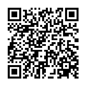 境界差距更容易带来刺激性与观赏性以及不确定性二维码生成