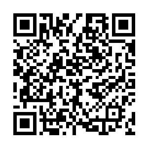 墙里所有人的人除了战斗和反抗只有一个念头――龙战二维码生成