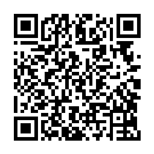 墨修尧捏捏叶璃手中的小公主熟睡的小脸蛋笑道二维码生成