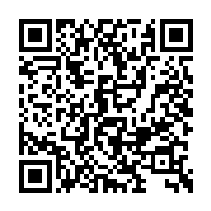 墨小宝扶着摇床望着那裹着红色襁褓的小宝贝儿二维码生成