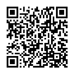 墨小宝虽然偶尔调皮捣蛋但是却还是很有分寸的二维码生成