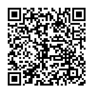 墨镜妹子从巷子里偷偷的伸出脑袋　刚好看到了这令人惊恐的一幕二维码生成