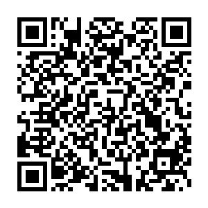 壁画又记载了历代的大卫皇帝都会来到这里进行一些神秘的仪式之类的二维码生成