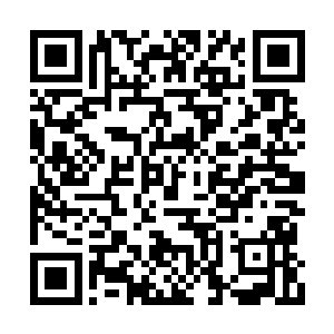 声音中的喜悦让卢八娘觉得她果真是想念自己的二维码生成