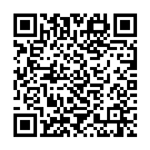 声音沉凝的向众人谈起在黑龙殿内窥探到的一些情况二维码生成
