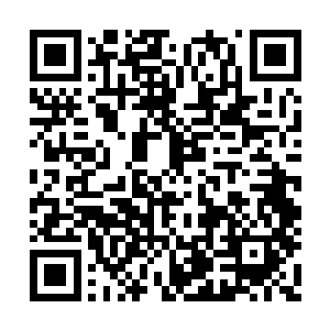 声音语调以及扭动的方式都跟我们真人一般无二二维码生成